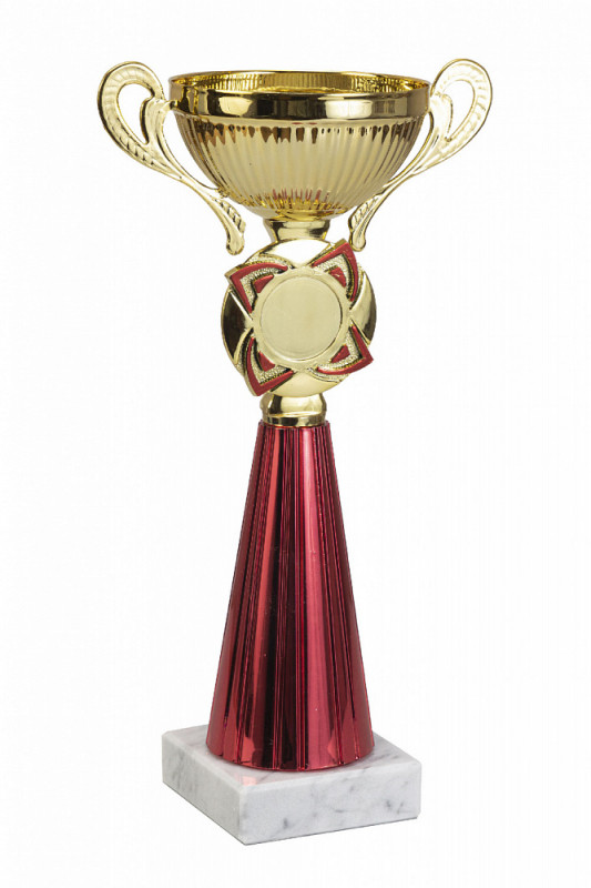 388-240-80 кубок