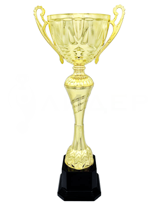 03-400-01 кубок 46 см