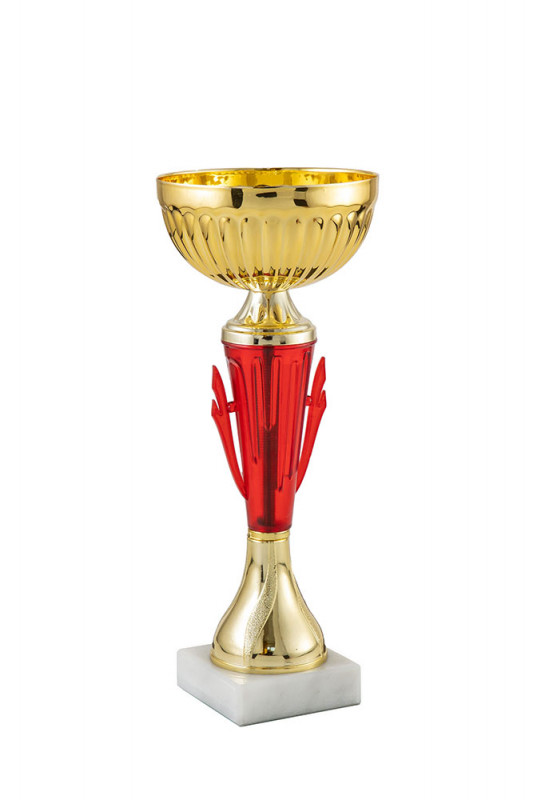 369-240-100 кубок