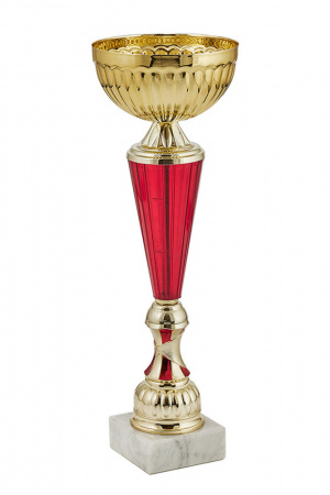 422-330-120 кубок