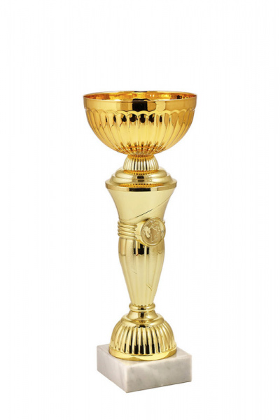 394-270-100 кубок