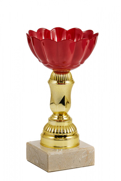 124-140-80 кубок