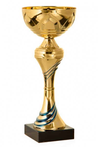 224-230-100 кубок