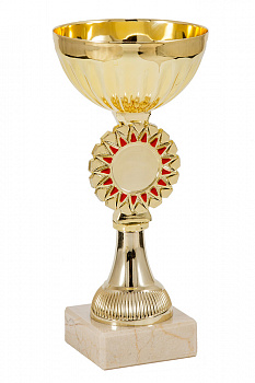 307-170-80 кубок