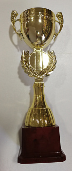 НВ 2081С кубок