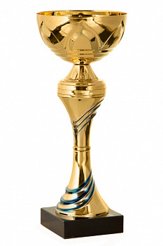 224-240-100 кубок