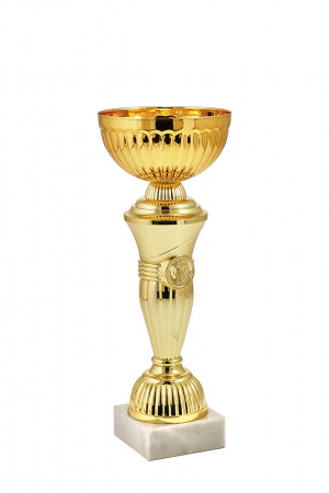 394-270-100 кубок