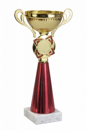 388-240-80 кубок