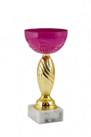 364-210-100 кубок