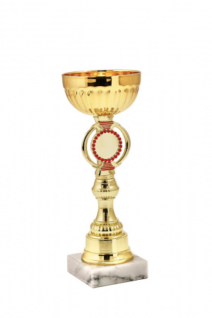 428-270-120 кубок