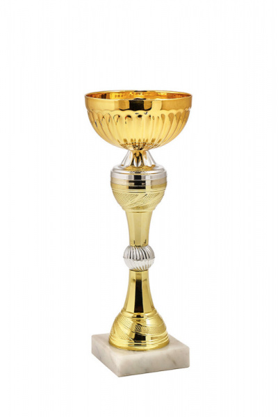 391-250-100 кубок