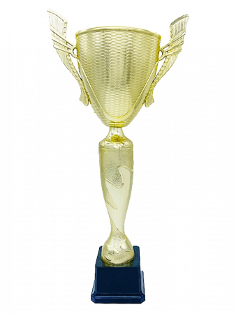 03-382-02 кубок 43 см