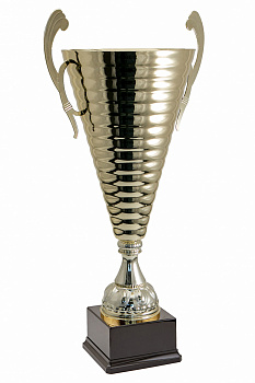 822-590-220 кубок