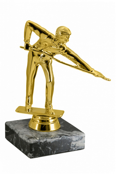 256 бильярд приз