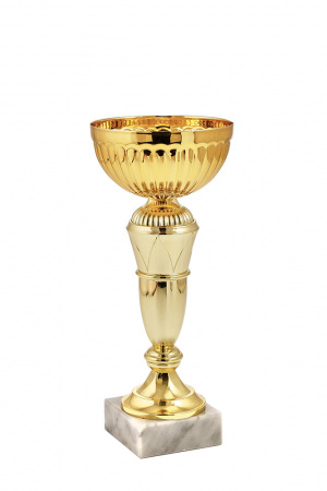 393-260-120 кубок